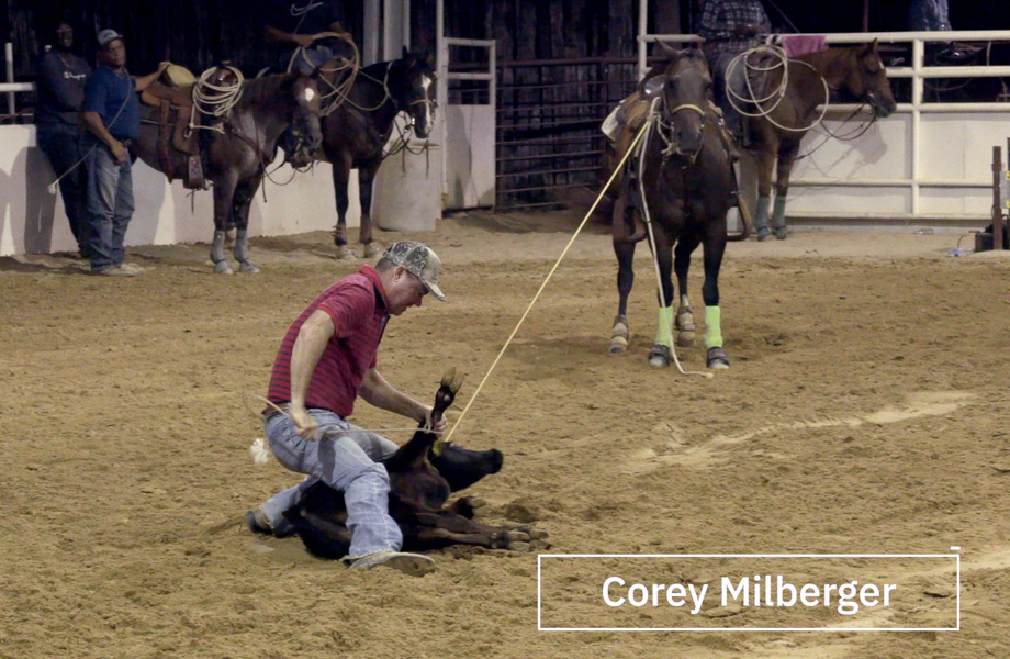 Tie Down Calf Roping | Lester Multimedia