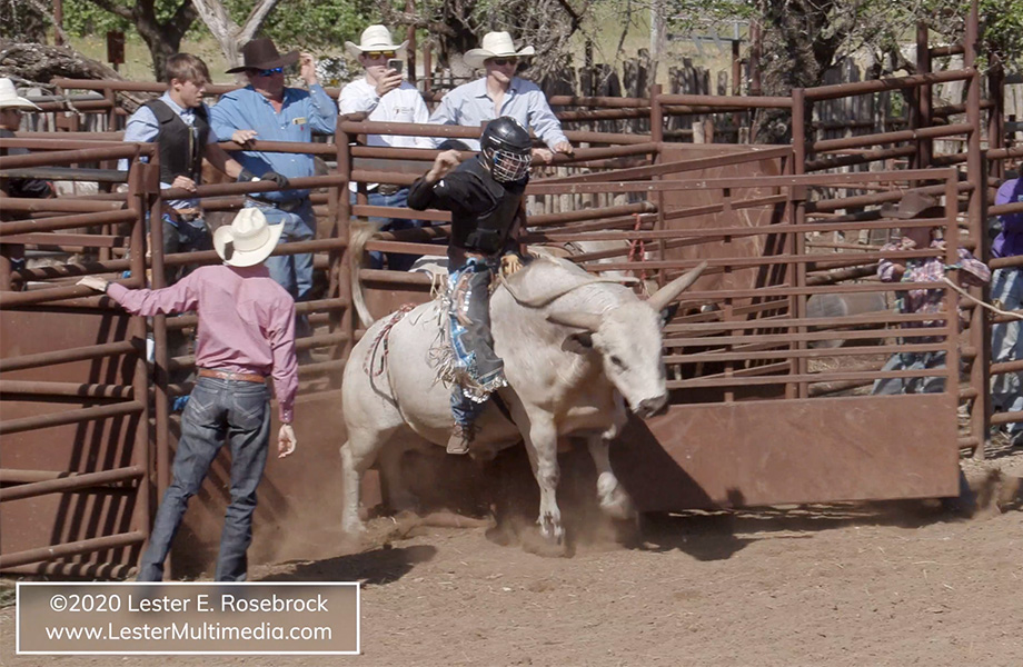 Video Johnson City Rodeo Lester Multimedia