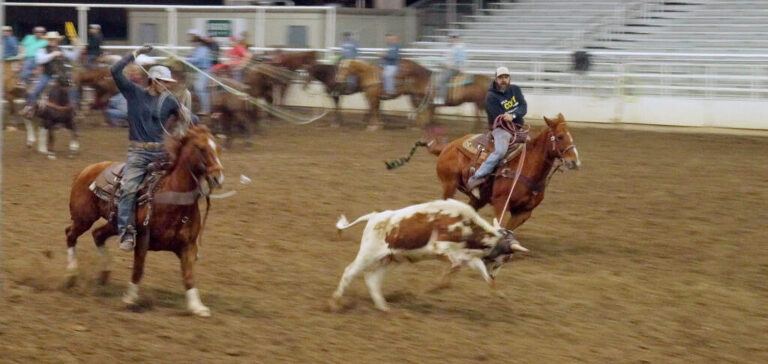 Team Calf Roping